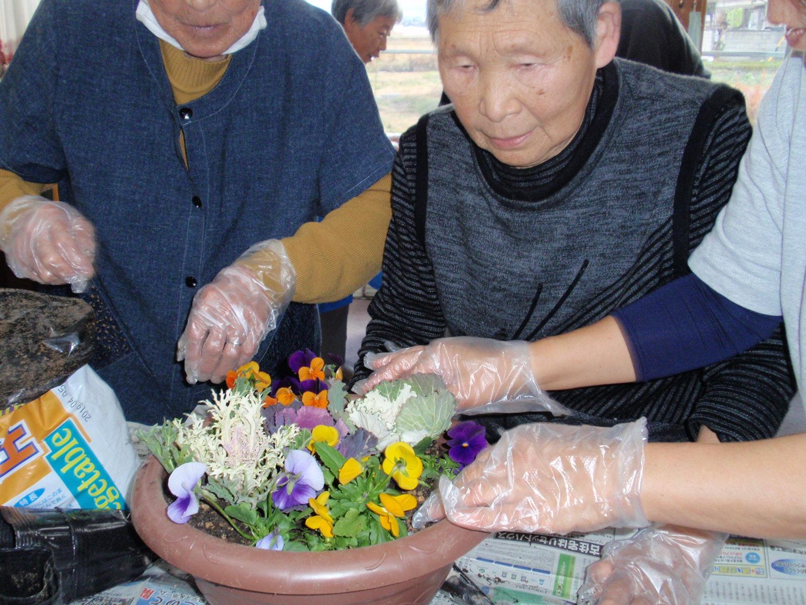 寄せ植え ゆめの里 新村 ブログ ゆめの里 新村 社会福祉法人 松本ハイランド ゆめの里