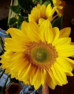 IMG_2160_300x378.jpg